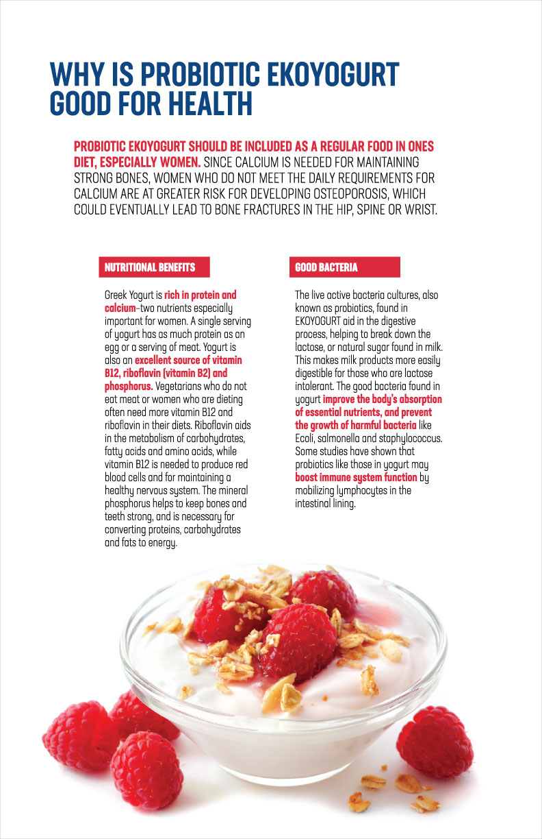 eko-yogurt-brochure 8